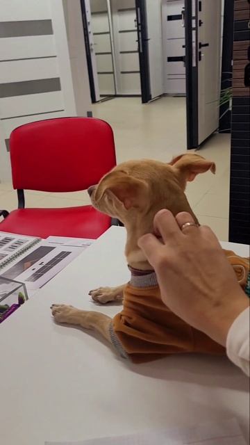 #деньги валяться прям на голову #Как мы зарабатываем деньги #деньги #работа # смотреть онлайн