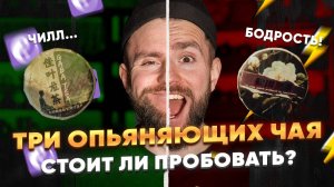 Какой чай пьянит? Отвечает чайный мастер