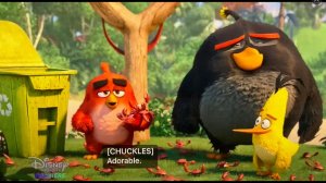 Рыжий кот и Й Новые Заставка