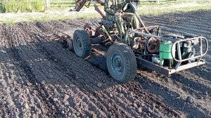СМТ Скорпион в работе. Обработка картофеля самодельным культиватором с бороной (слепая)