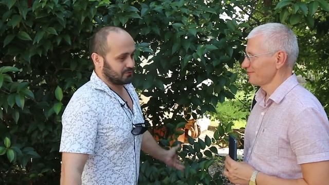 Отзыв покупателя, купившего квартиру в Сочи скоростным методом продаж. смотреть онлайн