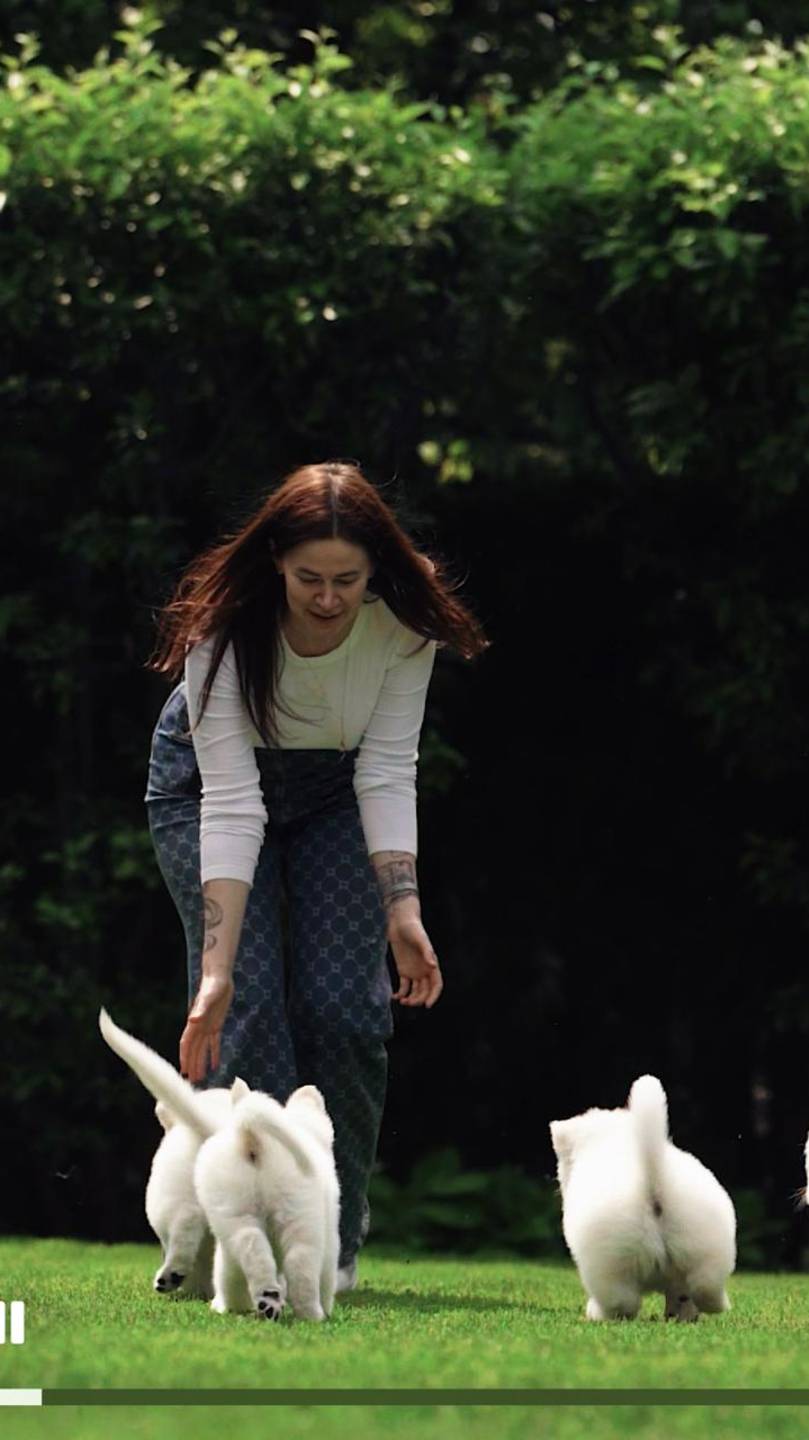 Veni, Vidi, Vici IZBB и брат их Viggo IZBB