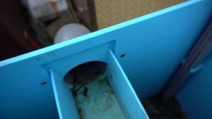 Улучшил систему фильтраций в пруду