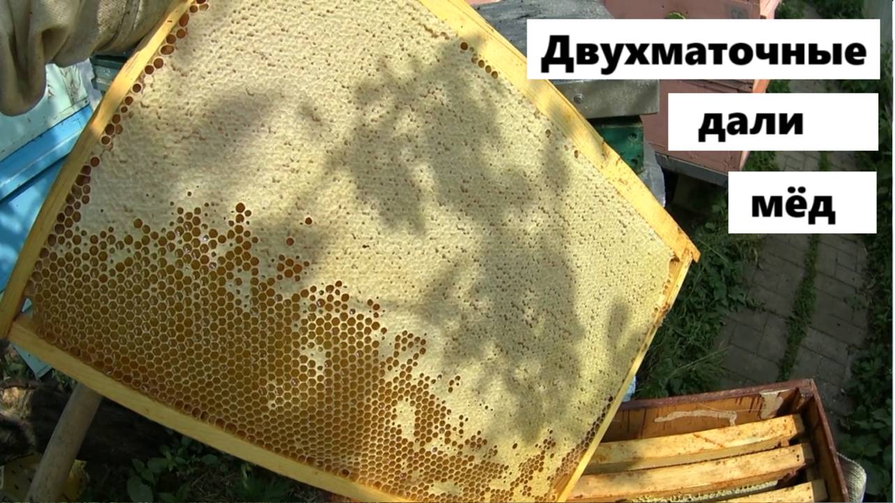 Двухматочна семья на 5 июня. смотреть онлайн