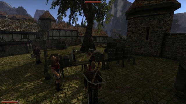 Готика 2: Ночь Ворона, DX11+Vurt's Graphics Overhaul, фокусирующие ка