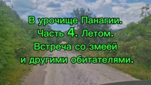 К Арпатским водопадам летом