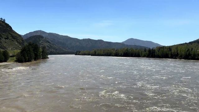 Шум Алтайских горных рек Катунь и Чемал #алтай #чемал #?