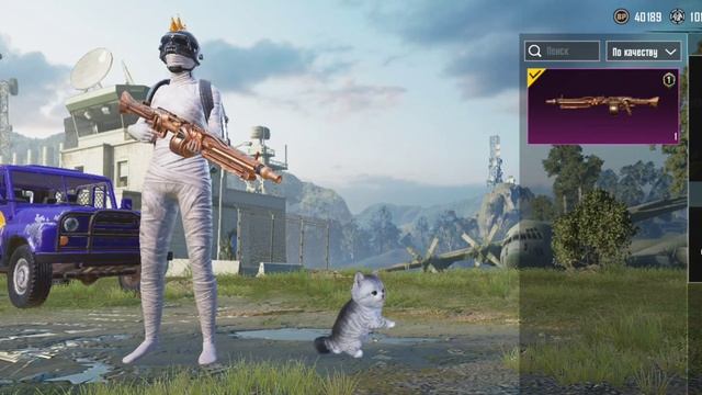 продаю аккаунт в пабге цена 11500 смотреть онлайн