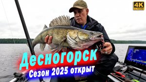 Судаки, Сомы, Щуки теперь им не спрятаться. Нерестовый запрет закончился