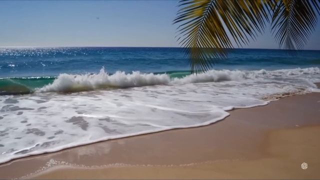 ТОП ТРЕКИ 2025 🔥 Русская музыка ❤️ Russian Music 🎧 Russische Musik ?