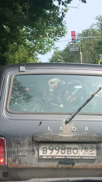 вот это отдых