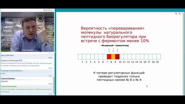 Как Пептиды Хавинсона усваиваются через ЖКТ.