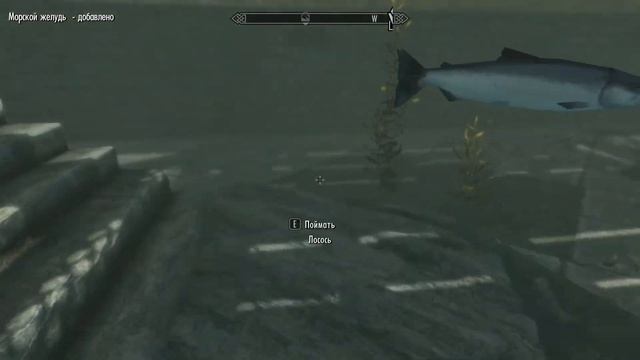 Skyrim AE #3 • Прохождение на 100% (2025) - Первый дракон смотреть онлайн