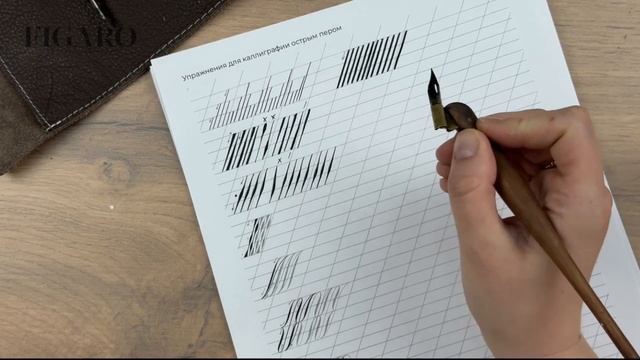 Упражнения по каллиграфии острым пером ДЛЯ НОВИЧКОВ | смотреть онлайн
