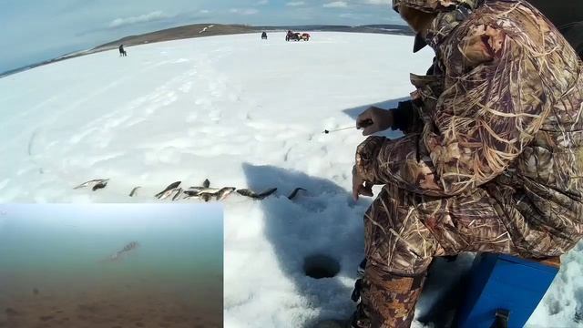 Рыбалка на Братском 06.04.17 смотреть онлайн