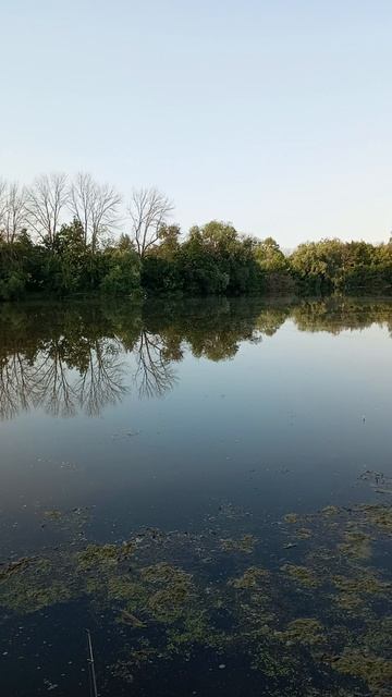 07-06-25 смотреть онлайн