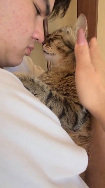 Вот так болезнь скрутила нашего Чиваса, глазик сказали не вылечить. #чивас #архипка #архипкаонлайн смотреть онлайн