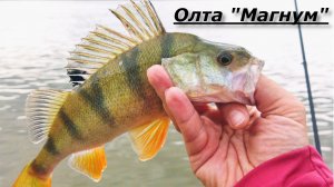 НЕ обзор. Олта "Магнум" 3-15. Береговой дальнобойный спиннинг для спорта и не только.