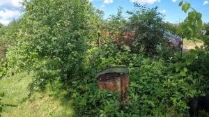 Классический ОГОРОД (шесть соток). Латвия, возле Риги. ?