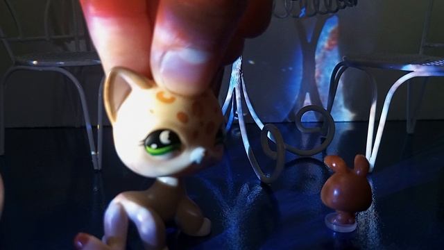 LPS ВОПРОС / ОТВЕТ #love is lps # топ# смотреть онлайн