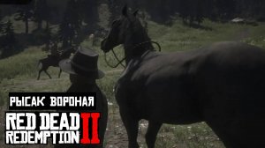 Красивая лошадь Чёрный РЫСАК в Red Dead Redemption 2
