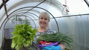 Живу в Сибири. С ПОСАДКАМИ закончили🤪. Обзор огорода.