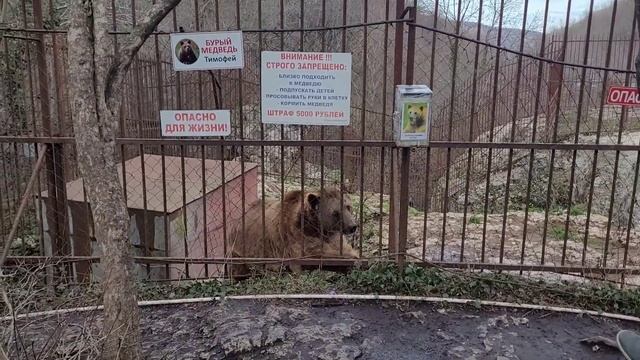 #хаджохская теснина ❄️Отдых в горах #хаджож #горы смотреть онлайн