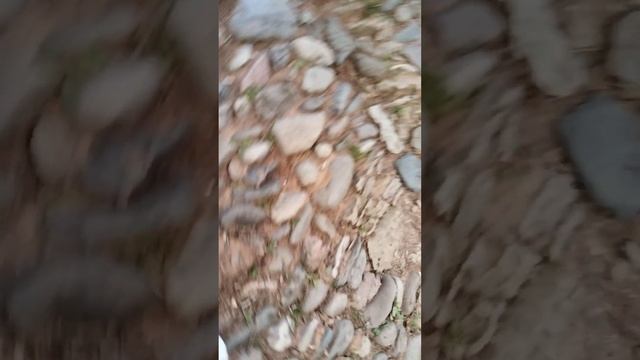 Путешествие гильдии рутуба в Кисловодске - Каскадная лестница и красные камни