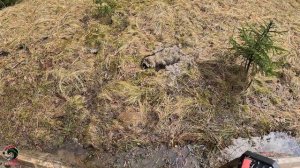 Покатушка в Жуков BRP Aodes Stels