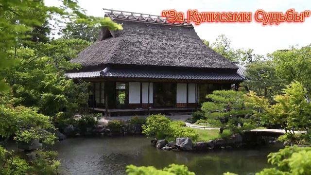 Безумная ночь с тетей Анжелой... #рассказ #интрига #семь