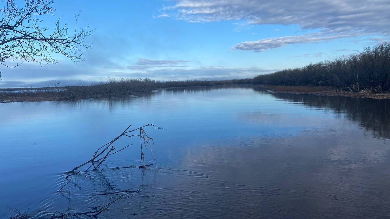 Охота на гуся 2025