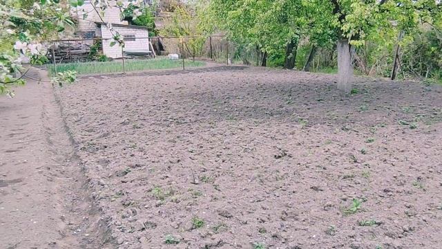 5 Мая 2025 Год 😍Рабочий день Галины на своём приусадебн? смотреть онлайн