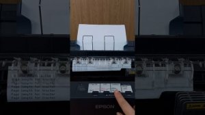 Решение проблем с кодировкой принтера Epson LX-350