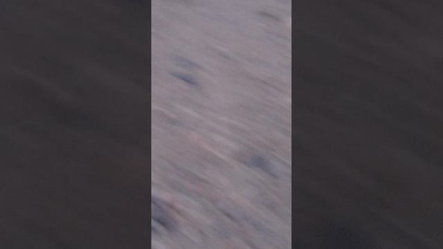 кормим бездомных котов смотреть онлайн