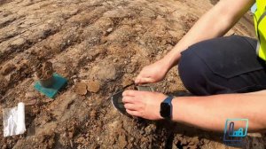 Определение уплотнения грунта методом режущего кольц