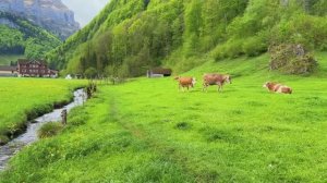 Загородная жизнь Швейцарии - Расслабляющая прогулка по самым красивым швейцарским деревням
