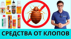 Самые эффективные средства от клопов в квартире