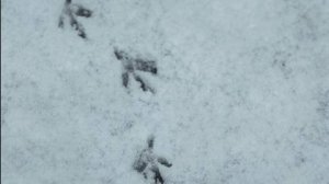 Бенефис А. Скидана. Авторский спектакль Сергея Зенькова 26.01.2023