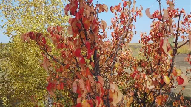 Про Октябрь...