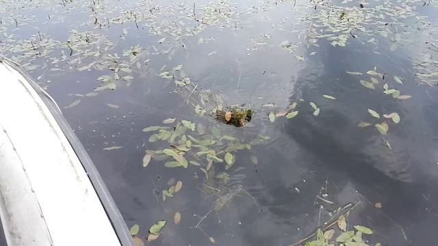 Рыбалка на Иркутском ВДХР (Курминский залив) смотреть онлайн