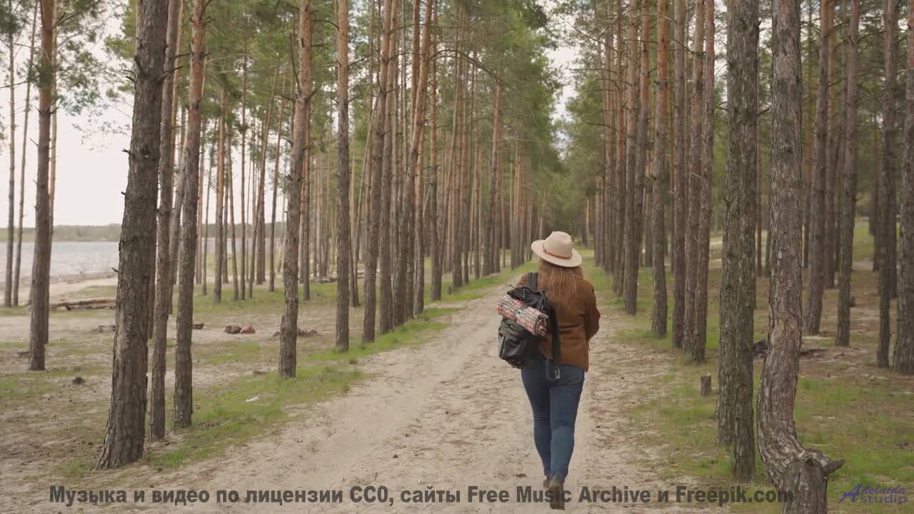 Звуки, используемые для межгалактической связи - пришельцы одобряют! - Laurore En Marche -- Jean Tob