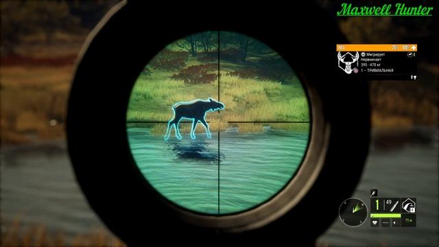 theHunter: Call of the Wild.Битти:Умение выждать смотреть онлайн