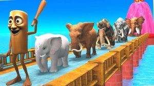 Мультики для детей про Тунг Тунг Тунг Шахура. Мультики для малышей про Слонов и лягушек