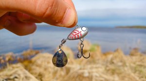 РУКИ УСТАЛИ ТЯГАТЬ РЫБУ, тут ЕЁ СТОЛЬКО ЧТО ДУХ ЗАХВАТЫВАЕТ! Рыбалка на спиннинг в 2025