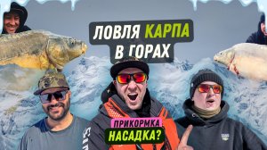 Лучшие бойлы 2025? Black Монстр Краб, Тигровый Орех, Мандарин — тест на водоёме Майский