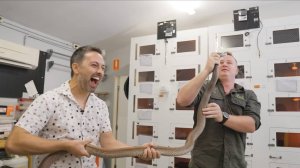 Поиск и изготовление противоядий