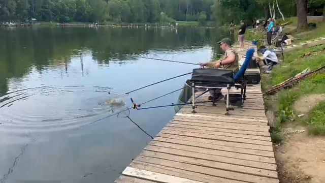Карпевич смотреть онлайн