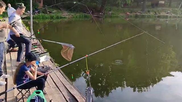 Поимка Карпа смотреть онлайн