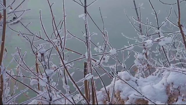 Лесное озеро. Башкортостан. Россия