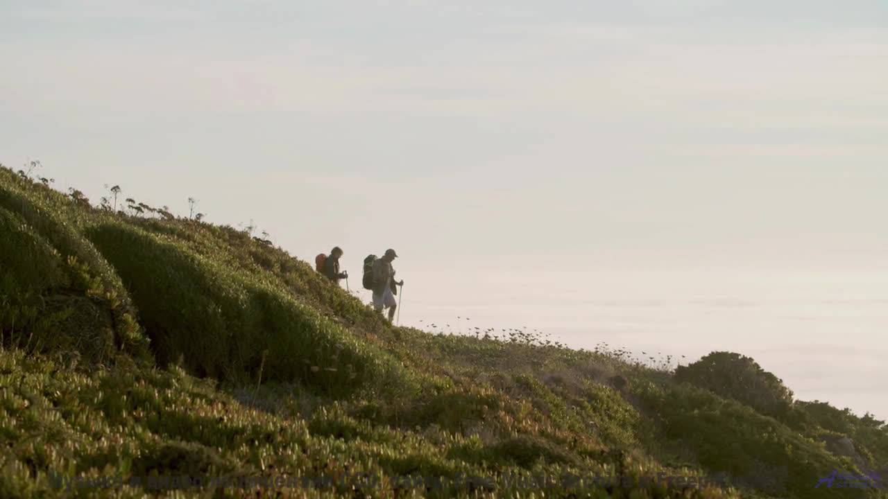 Звёзды падают под этот звук! - Play For Your People (music Hall Singalong) -- Keshco -- Filmmakers R